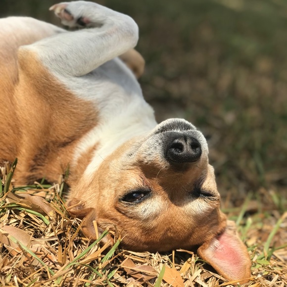 🛍 Posh Ambassador 🛍 Meet your Posher, Jessica ☀️ - Picture 3 of 8